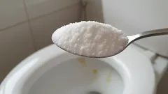 この手作り洗剤をスプーン1杯だけトイレに注いで一晩置いておけば、臭いや水垢の心配はもうありません